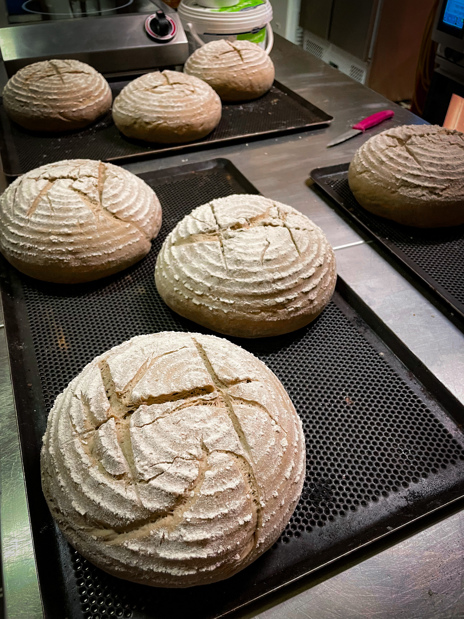 Brot &amp; Gebäck – Gosinger Konditorei &amp; Cafe